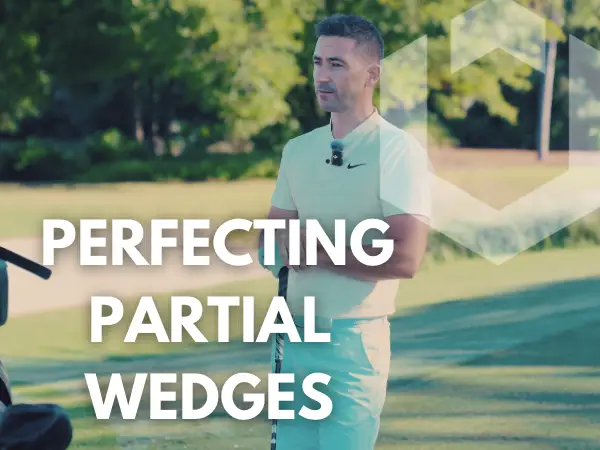 Perfecting Partial Wedges